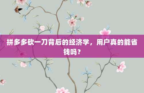 拼多多砍一刀背后的经济学,用户真的能省钱吗?-第1张图片-拼多多助力 拼多多砍一刀背后的经济学,用户真的能省钱吗?-第1张图片-拼多多助力
