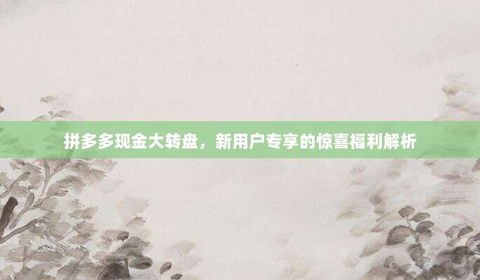 拼多多现金大转盘,新用户专享的惊喜福利解析-第1张图片-拼多多助力 拼多多现金大转盘,新用户专享的惊喜福利解析-第1张图片-拼多多助力