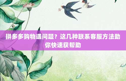 拼多多购物遇问题?这几种联系客服方法助你快速获帮助-第1张图片-拼多多助力 拼多多购物遇问题?这几种联系客服方法助你快速获帮助-第1张图片-拼多多助力