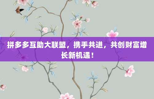 拼多多互助大联盟,携手共进,共创财富增长新机遇!-第1张图片-拼多多助力 拼多多互助大联盟,携手共进,共创财富增长新机遇!-第1张图片-拼多多助力