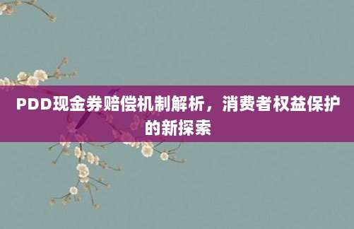 PDD现金券赔偿机制解析，消费者权益保护的新探索-第1张图片-拼多多助力