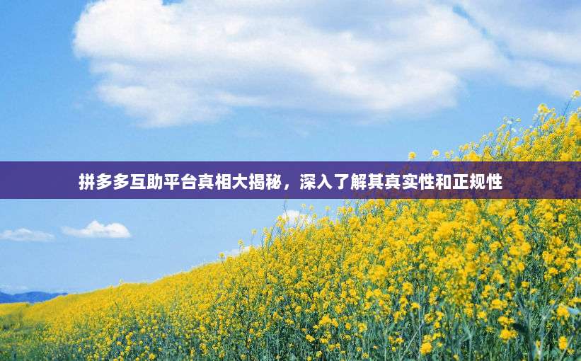 拼多多互助平台真相大揭秘,深入了解其真实性和正规性-第1张图片-拼多多助力 拼多多互助平台真相大揭秘,深入了解其真实性和正规性-第1张图片-拼多多助力