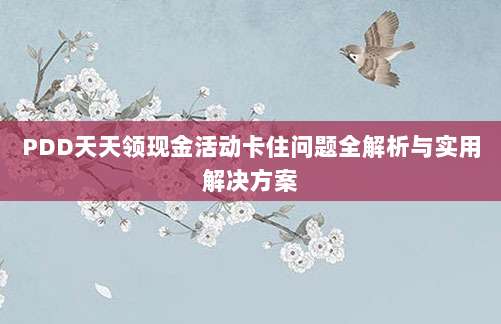 PDD天天领现金活动卡住问题全解析与实用解决方案-第1张图片-拼多多助力 PDD天天领现金活动卡住问题全解析与实用解决方案-第1张图片-拼多多助力