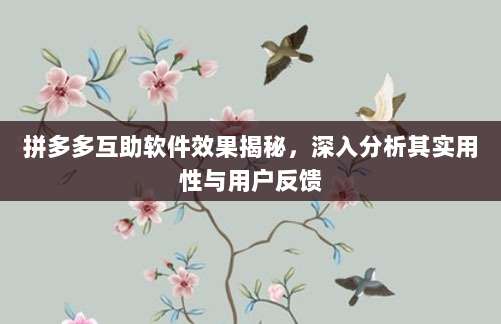 拼多多互助软件效果揭秘,深入分析其实用性与用户反馈-第1张图片-拼多多助力 拼多多互助软件效果揭秘,深入分析其实用性与用户反馈-第1张图片-拼多多助力