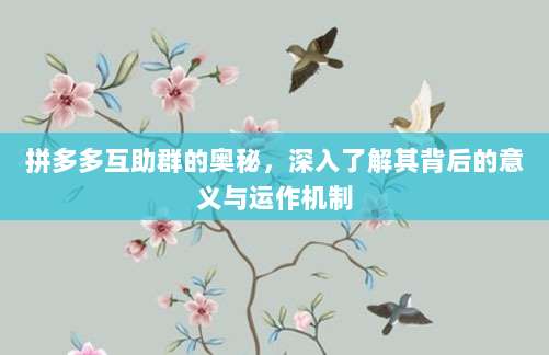 拼多多互助群的奥秘,深入了解其背后的意义与运作机制-第1张图片-拼多多助力 拼多多互助群的奥秘,深入了解其背后的意义与运作机制-第1张图片-拼多多助力