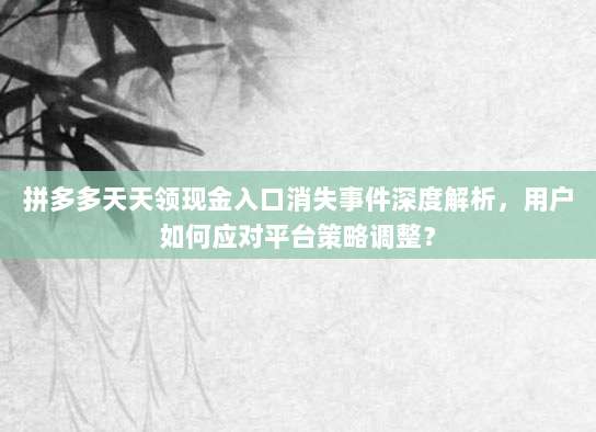 拼多多天天领现金入口消失事件深度解析，用户如何应对平台策略调整？-第1张图片-拼多多助力