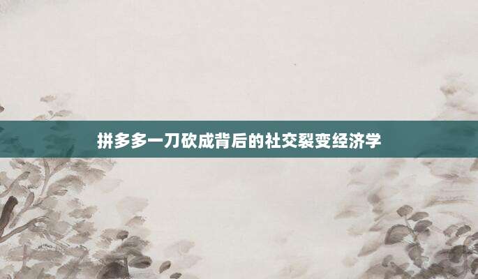 拼多多一刀砍成背后的社交裂变经济学-第1张图片-拼多多助力 拼多多一刀砍成背后的社交裂变经济学-第1张图片-拼多多助力