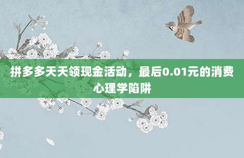 拼多多天天领现金活动，最后0.01元的消费心理学陷阱-第1张图片-拼多多助力
