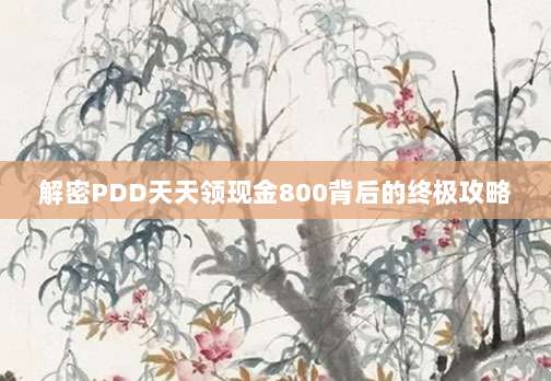 解密PDD天天领现金800背后的终极攻略-第1张图片-拼多多助力 解密PDD天天领现金800背后的终极攻略-第1张图片-拼多多助力