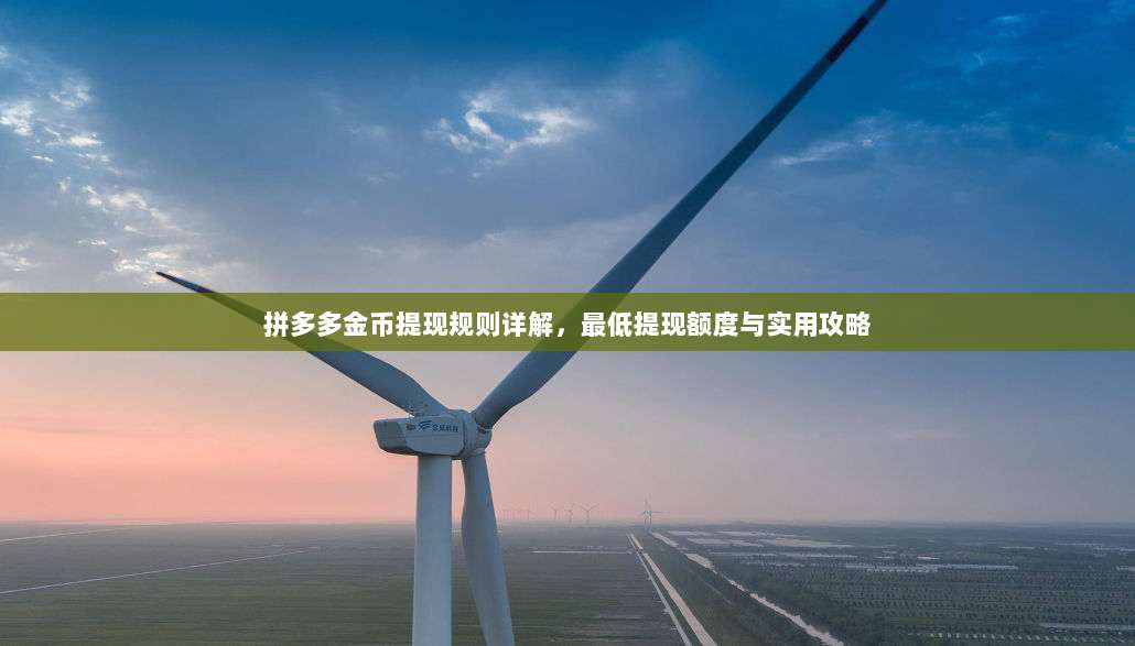 拼多多金币提现规则详解,最低提现额度与实用攻略-第1张图片-拼多多助力 拼多多金币提现规则详解,最低提现额度与实用攻略-第1张图片-拼多多助力