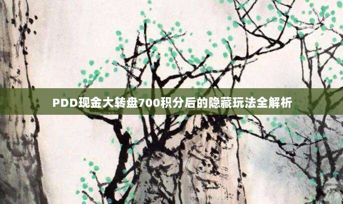 PDD现金大转盘700积分后的隐藏玩法全解析-第1张图片-拼多多助力 PDD现金大转盘700积分后的隐藏玩法全解析-第1张图片-拼多多助力