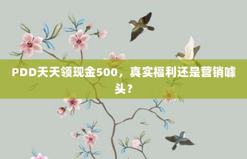 PDD天天领现金500,真实福利还是营销噱头?-第1张图片-拼多多助力 PDD天天领现金500,真实福利还是营销噱头?-第1张图片-拼多多助力