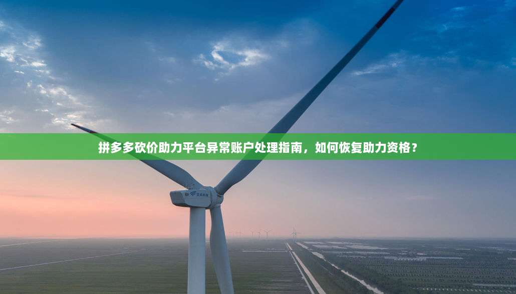 拼多多砍价助力平台异常账户处理指南,如何恢复助力资格?-第1张图片-拼多多助力 拼多多砍价助力平台异常账户处理指南,如何恢复助力资格?-第1张图片-拼多多助力