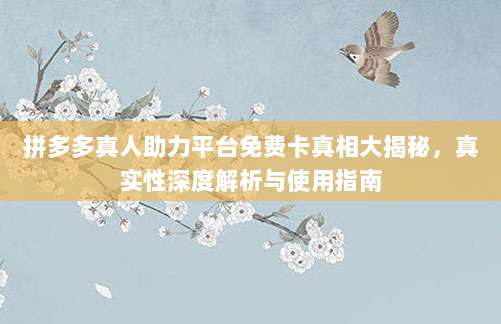 拼多多真人助力平台免费卡真相大揭秘,真实性深度解析与使用指南-第1张图片-拼多多助力 拼多多真人助力平台免费卡真相大揭秘,真实性深度解析与使用指南-第1张图片-拼多多助力