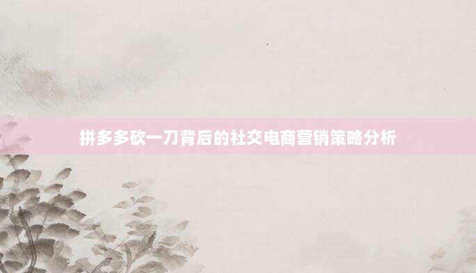 拼多多砍一刀背后的社交电商营销策略分析-第1张图片-拼多多助力 拼多多砍一刀背后的社交电商营销策略分析-第1张图片-拼多多助力
