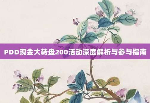 PDD现金大转盘200活动深度解析与参与指南-第1张图片-拼多多助力 PDD现金大转盘200活动深度解析与参与指南-第1张图片-拼多多助力