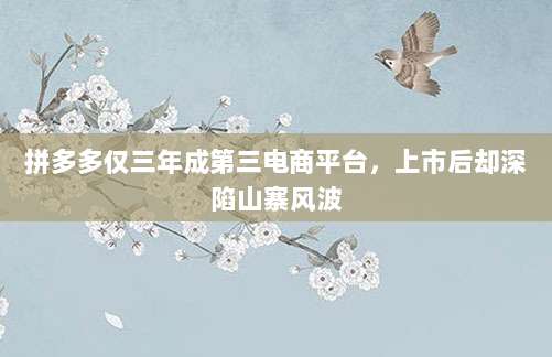拼多多仅三年成第三电商平台,上市后却深陷山寨风波-第1张图片-拼多多助力 拼多多仅三年成第三电商平台,上市后却深陷山寨风波-第1张图片-拼多多助力
