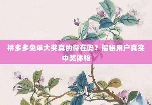 拼多多免单大奖真的存在吗?揭秘用户真实中奖体验-第1张图片-拼多多助力 拼多多免单大奖真的存在吗?揭秘用户真实中奖体验-第1张图片-拼多多助力