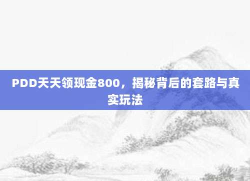 PDD天天领现金800,揭秘背后的套路与真实玩法-第1张图片-拼多多助力 PDD天天领现金800,揭秘背后的套路与真实玩法-第1张图片-拼多多助力