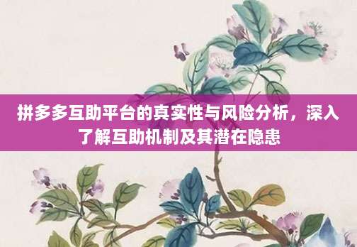 拼多多互助平台的真实性与风险分析,深入了解互助机制及其潜在隐患-第1张图片-拼多多助力 拼多多互助平台的真实性与风险分析,深入了解互助机制及其潜在隐患-第1张图片-拼多多助力