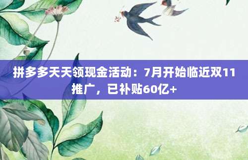 拼多多天天领现金活动:7月开始临近双11推广,已补贴60亿+-第1张图片-拼多多助力 拼多多天天领现金活动:7月开始临近双11推广,已补贴60亿+-第1张图片-拼多多助力
