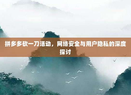 拼多多砍一刀活动，网络安全与用户隐私的深度探讨-第1张图片-拼多多助力