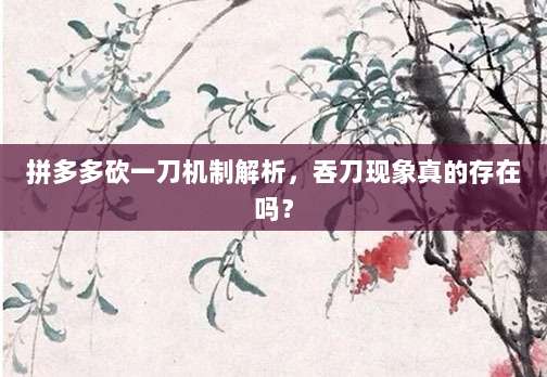 拼多多砍一刀机制解析,吞刀现象真的存在吗?-第1张图片-拼多多助力 拼多多砍一刀机制解析,吞刀现象真的存在吗?-第1张图片-拼多多助力
