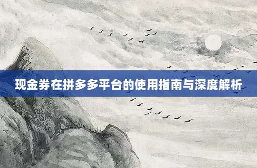 现金券在拼多多平台的使用指南与深度解析-第1张图片-拼多多助力