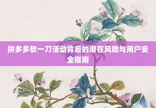 拼多多砍一刀活动背后的潜在风险与用户安全指南-第1张图片-拼多多助力 拼多多砍一刀活动背后的潜在风险与用户安全指南-第1张图片-拼多多助力