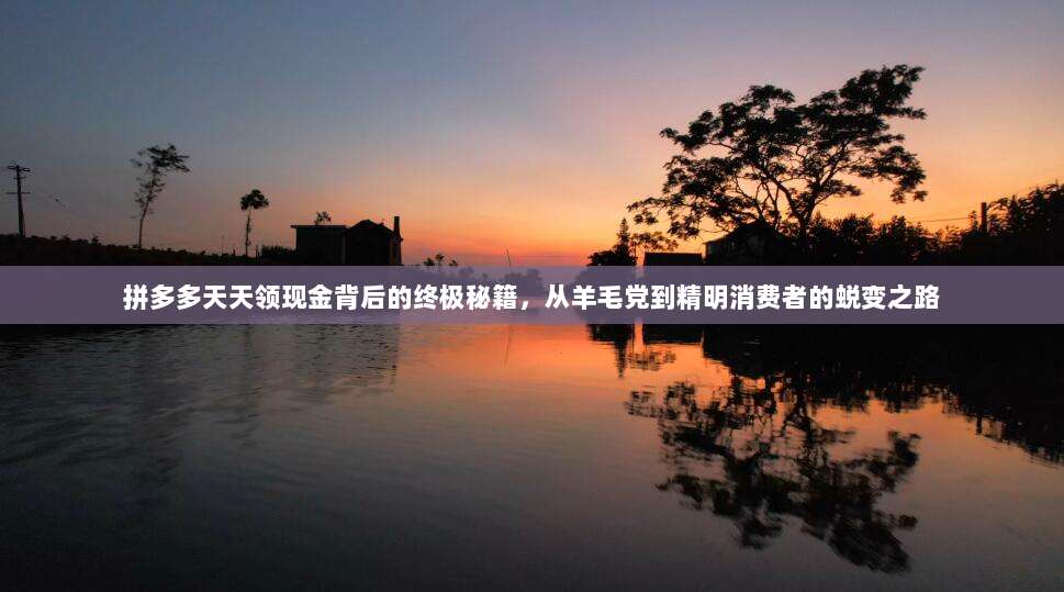 拼多多天天领现金背后的终极秘籍,从羊毛党到精明消费者的蜕变之路-第1张图片-拼多多助力 拼多多天天领现金背后的终极秘籍,从羊毛党到精明消费者的蜕变之路-第1张图片-拼多多助力