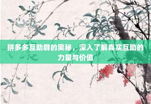 拼多多互助群的奥秘，深入了解真实互助的力量与价值-第1张图片-拼多多助力