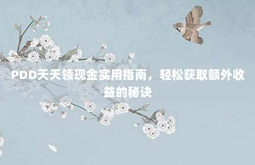 PDD天天领现金实用指南，轻松获取额外收益的秘诀-第1张图片-拼多多助力