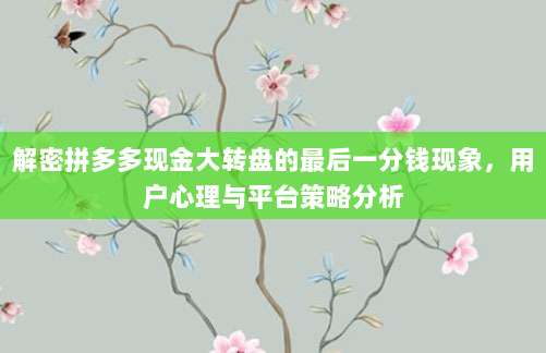 解密拼多多现金大转盘的最后一分钱现象,用户心理与平台策略分析-第1张图片-拼多多助力 解密拼多多现金大转盘的最后一分钱现象,用户心理与平台策略分析-第1张图片-拼多多助力
