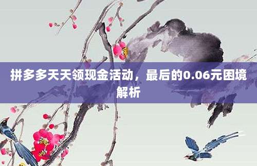 拼多多天天领现金活动,最后的0.06元困境解析-第1张图片-拼多多助力 拼多多天天领现金活动,最后的0.06元困境解析-第1张图片-拼多多助力