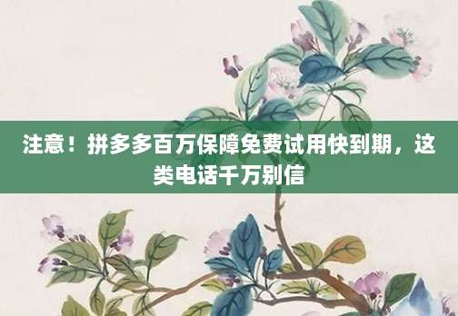 注意!拼多多百万保障免费试用快到期,这类电话千万别信-第1张图片-拼多多助力 注意!拼多多百万保障免费试用快到期,这类电话千万别信-第1张图片-拼多多助力