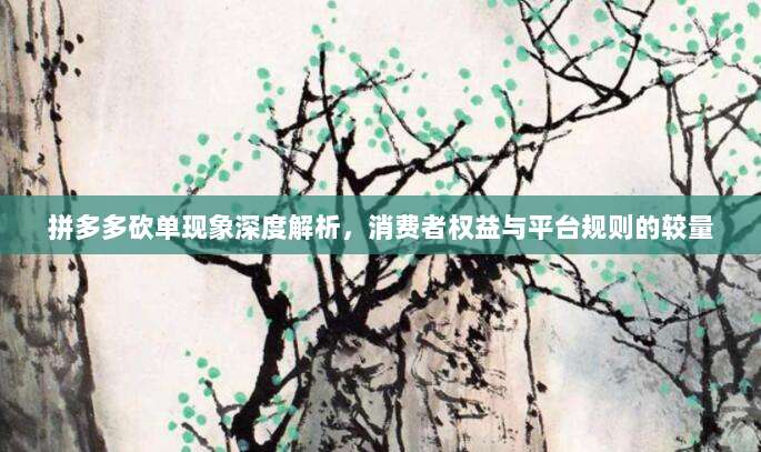 拼多多砍单现象深度解析，消费者权益与平台规则的较量-第1张图片-拼多多助力