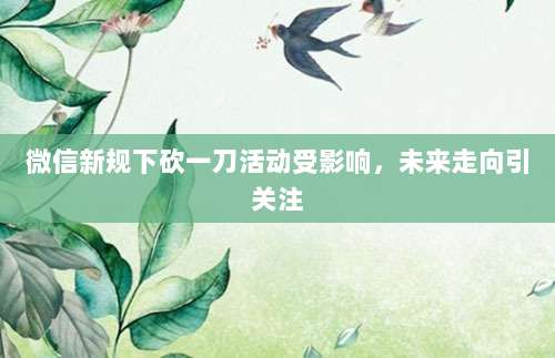 微信新规下砍一刀活动受影响,未来走向引关注-第1张图片-拼多多助力 微信新规下砍一刀活动受影响,未来走向引关注-第1张图片-拼多多助力