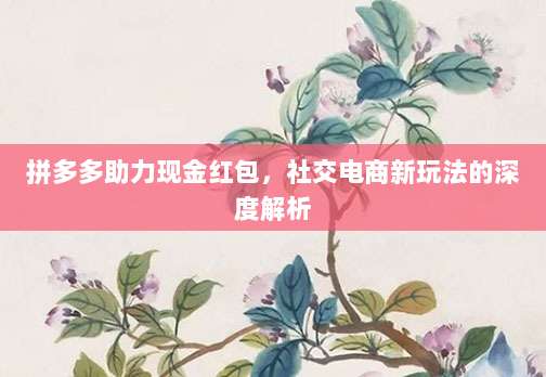 拼多多助力现金红包,社交电商新玩法的深度解析-第1张图片-拼多多助力 拼多多助力现金红包,社交电商新玩法的深度解析-第1张图片-拼多多助力