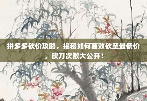 拼多多砍价攻略，揭秘如何高效砍至最低价，砍刀次数大公开！-第1张图片-拼多多助力