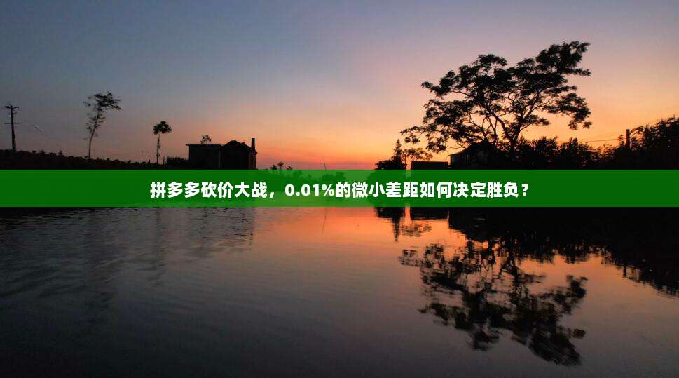 拼多多砍价大战，0.01%的微小差距如何决定胜负？-第1张图片-拼多多助力
