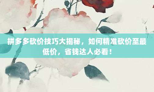 拼多多砍价技巧大揭秘，如何精准砍价至最低价，省钱达人必看！-第1张图片-拼多多助力