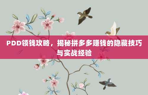 PDD领钱攻略，揭秘拼多多赚钱的隐藏技巧与实战经验-第1张图片-拼多多助力