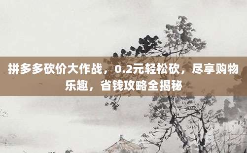 拼多多砍价大作战,0.2元轻松砍,尽享购物乐趣,省钱攻略全揭秘-第1张图片-拼多多助力 拼多多砍价大作战,0.2元轻松砍,尽享购物乐趣,省钱攻略全揭秘-第1张图片-拼多多助力
