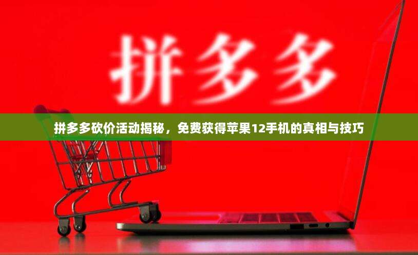 拼多多砍价活动揭秘,免费获得苹果12手机的真相与技巧-第1张图片-拼多多助力 拼多多砍价活动揭秘,免费获得苹果12手机的真相与技巧-第1张图片-拼多多助力
