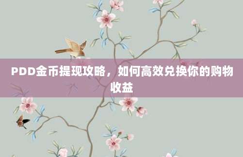 PDD金币提现攻略，如何高效兑换你的购物收益-第1张图片-拼多多助力