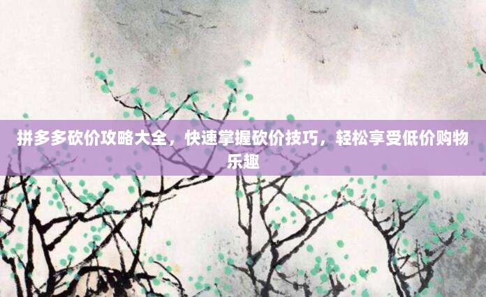 拼多多砍价攻略大全，快速掌握砍价技巧，轻松享受低价购物乐趣-第1张图片-拼多多助力