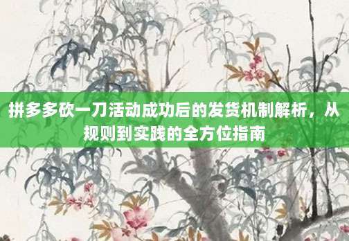 拼多多砍一刀活动成功后的发货机制解析，从规则到实践的全方位指南-第1张图片-拼多多助力