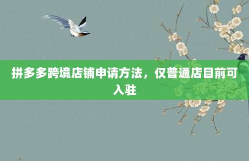 拼多多跨境店铺申请方法，仅普通店目前可入驻-第1张图片-拼多多助力