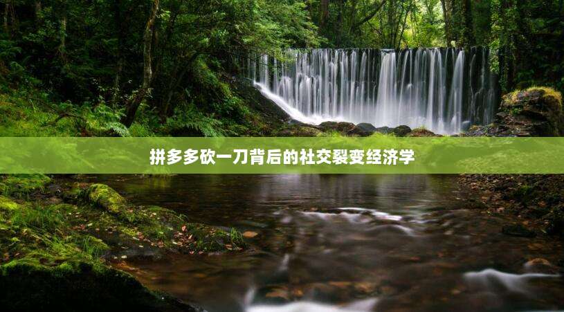 拼多多砍一刀背后的社交裂变经济学-第1张图片-拼多多助力 拼多多砍一刀背后的社交裂变经济学-第1张图片-拼多多助力