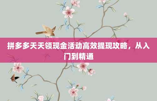 拼多多天天领现金活动高效提现攻略，从入门到精通-第1张图片-拼多多助力